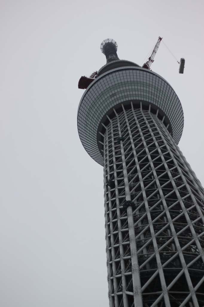 のっぽさん