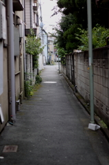 どこへ