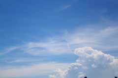 夏
