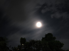 moon