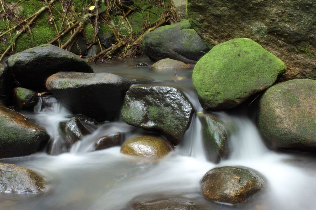 水