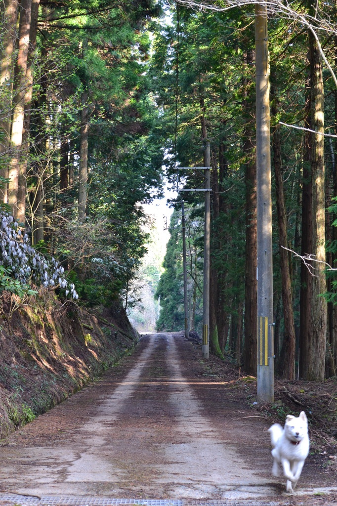 帰路にて