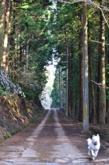 帰路にて