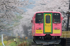 花散らす雨2