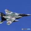 Aggressor