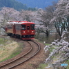 長良川鉄道と桜②