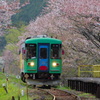 桜電車