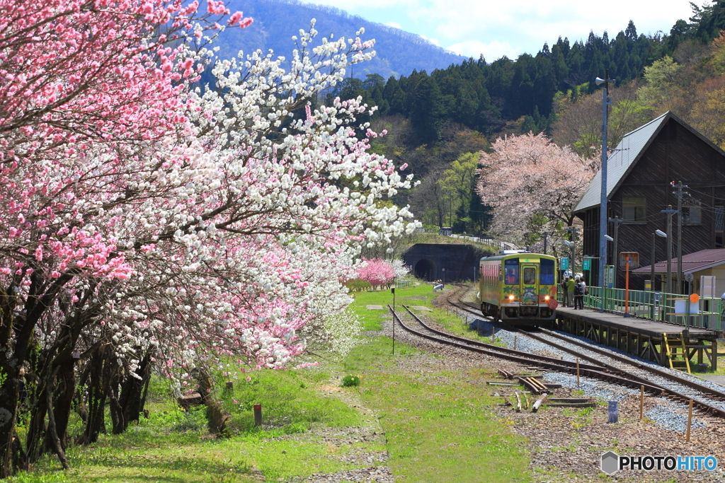 花桃の咲く駅