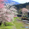 花桃の咲く駅
