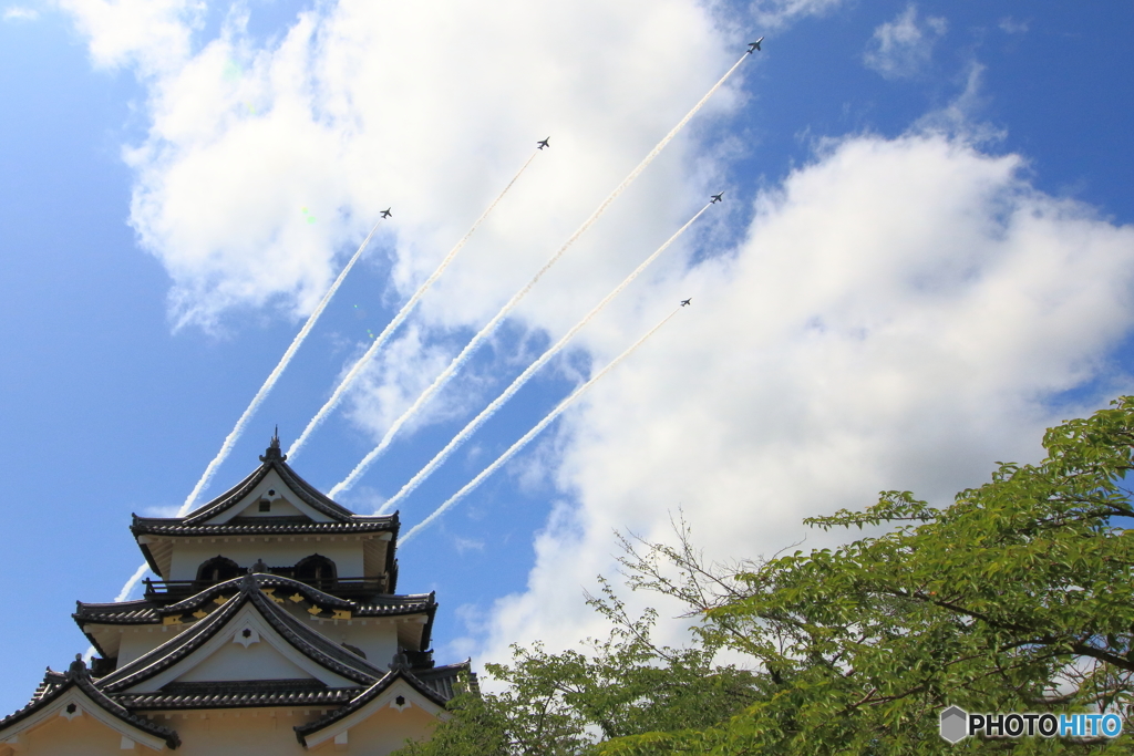 彦根城とブルーインパルス