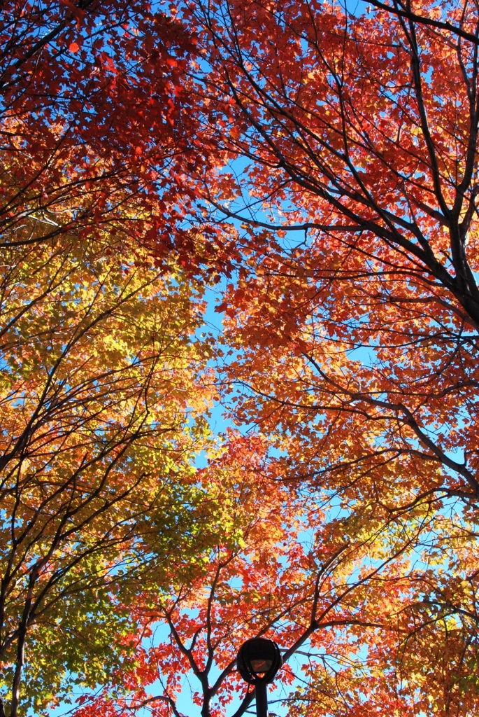 Look up from inside