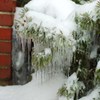 寒極まって。