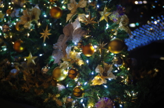 Xmas2