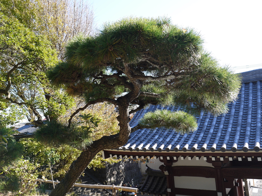 龍口寺1