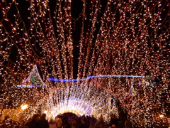 宮ヶ瀬ダム2013-1