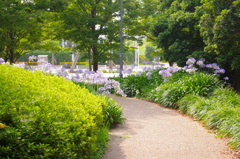 園