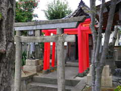 朱