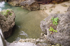 岩