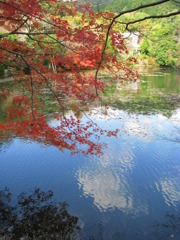 紅葉と青空