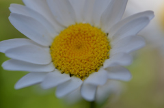 丸の中の三角形？