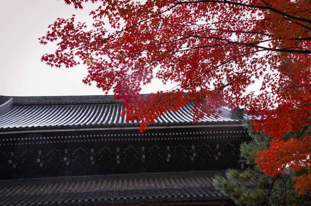 雨の南禅寺