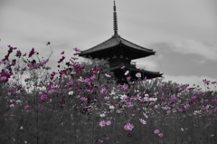 法起寺の秋