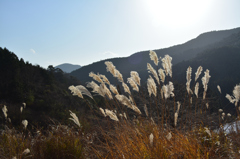 山の彼方の空遠く