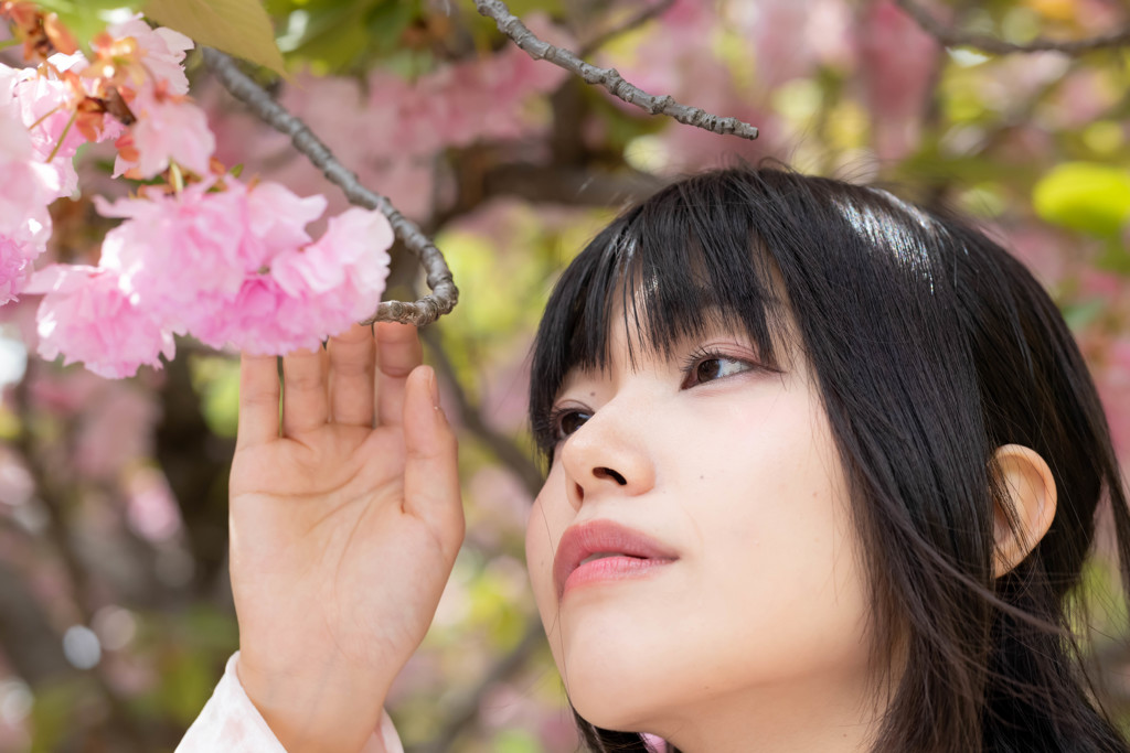 桜の下