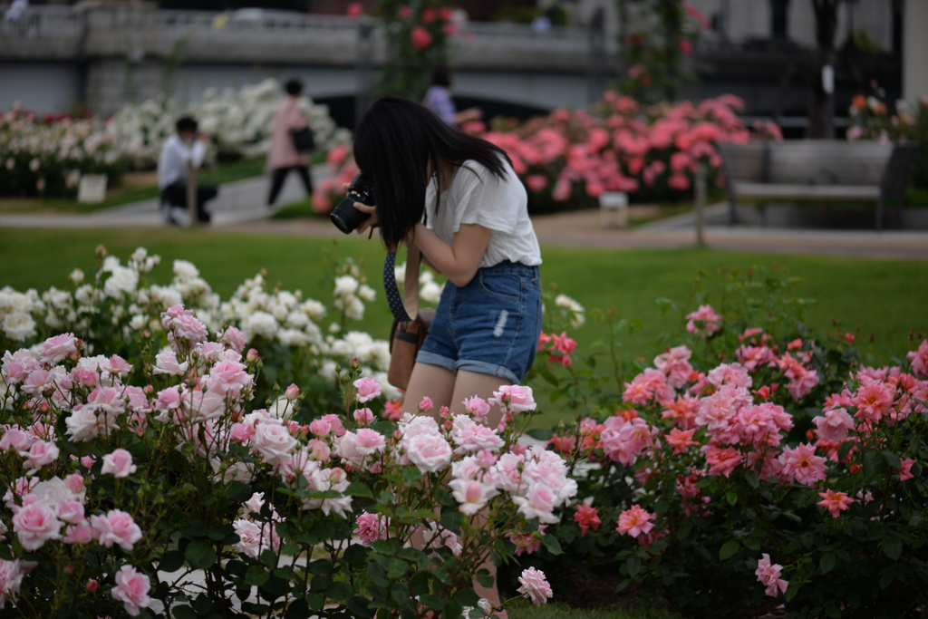 花に添えて