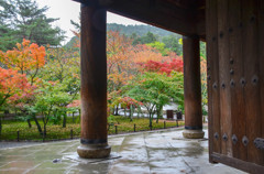 雨宿り