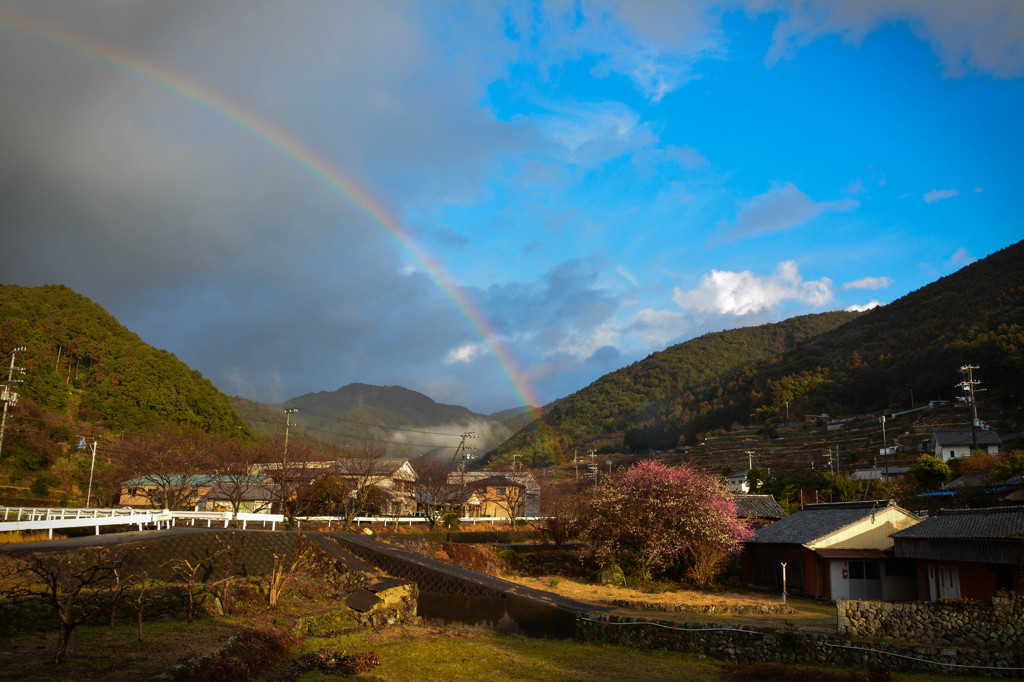 雨上がり