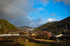 雨上がり