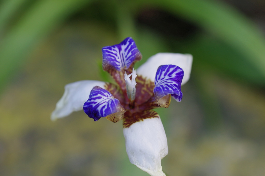 コントラスト 3