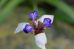 コントラスト 3