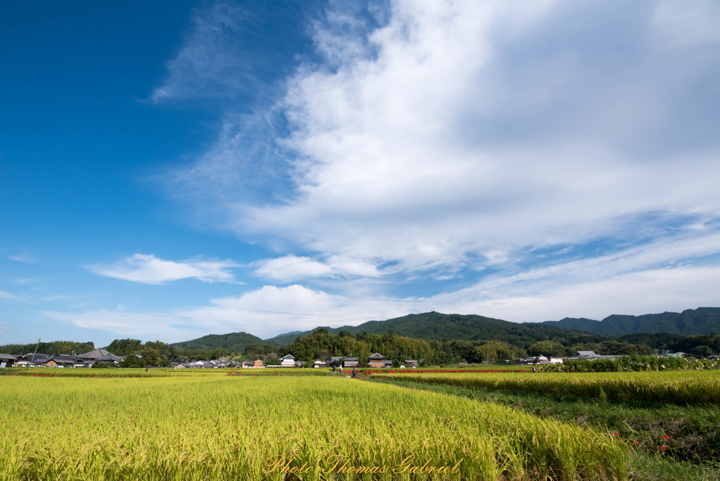 広がる秋