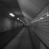 長い道のり