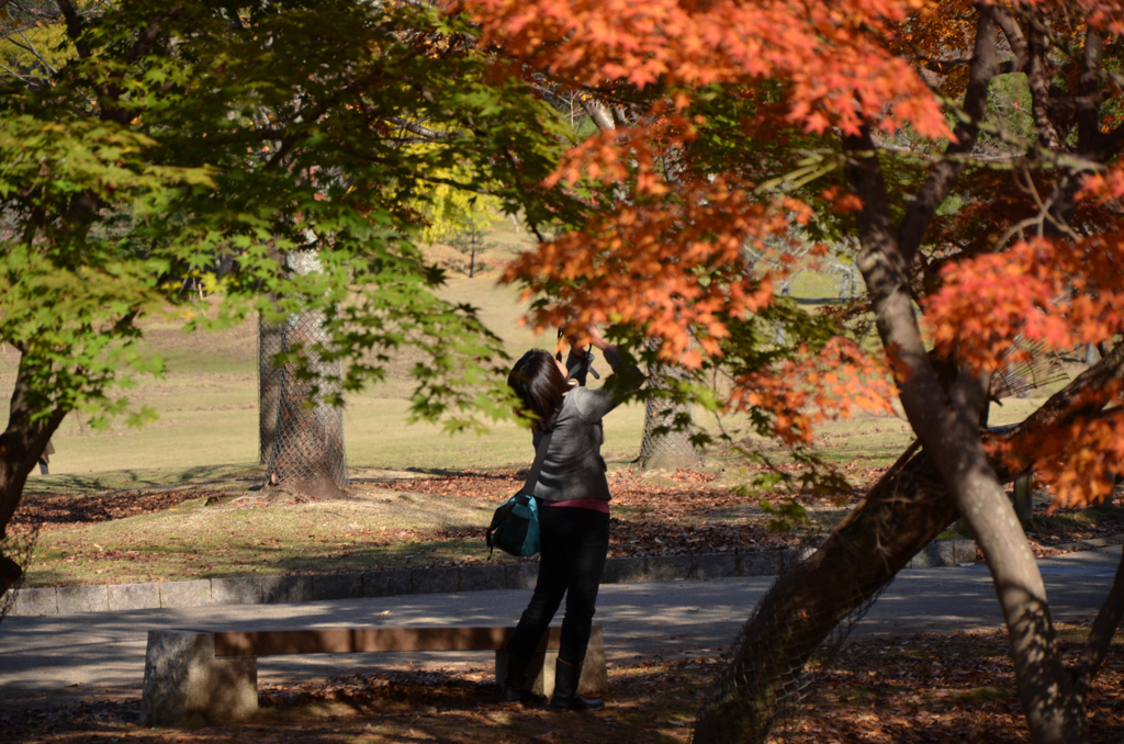 紅葉を楽しむ人