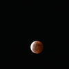 Red Moon