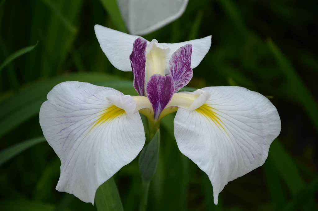 シンメトリー 5