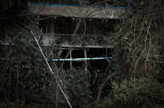 廃屋