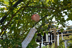 木陰の風鈴、夏の光