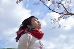 春が待ち遠しい
