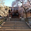 早朝の神社