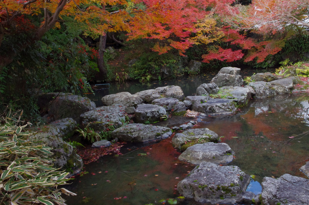 大山崎山荘美術館の紅葉