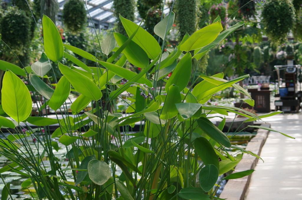 神戸花鳥園２２