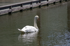 神戸花鳥園５１