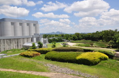 夏の日差し