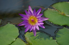 神戸花鳥園２６