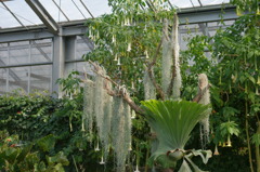 神戸花鳥園２３