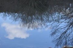 逆さまの空